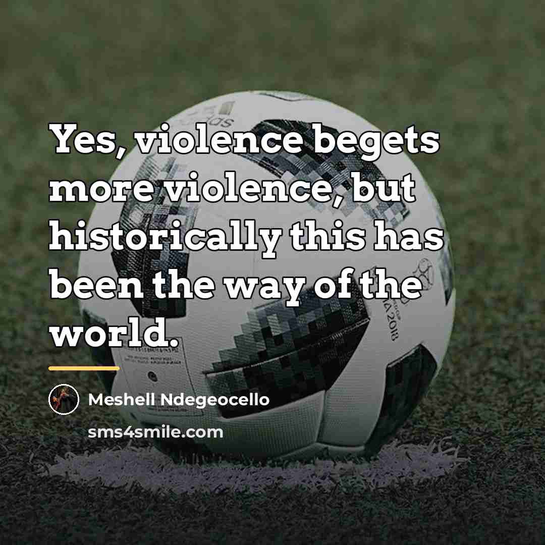 “Yes, violence begets more violence, but historically this has been…” quote by Meshell Ndegeocello