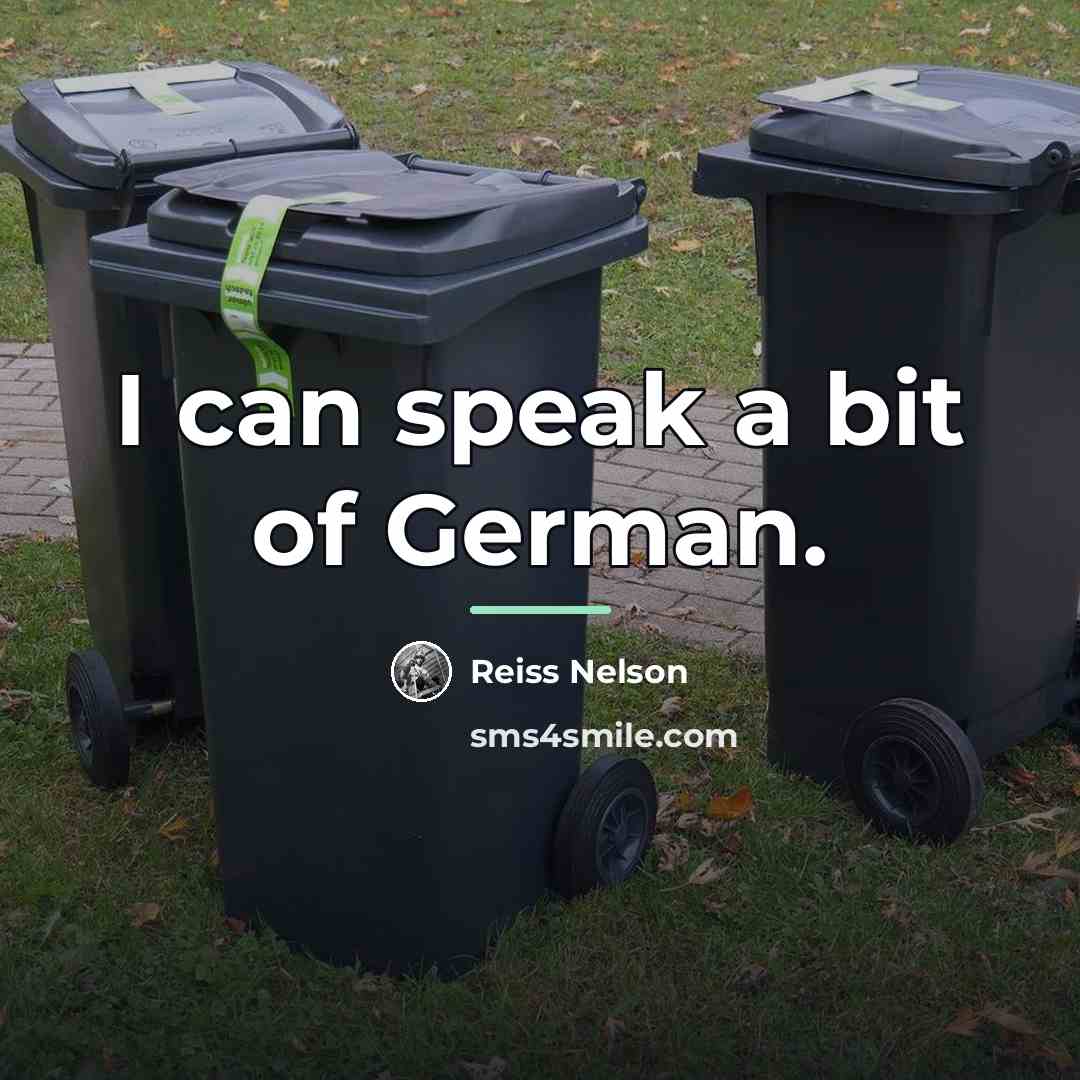 “I can speak a bit of German.…” quote by Reiss Nelson