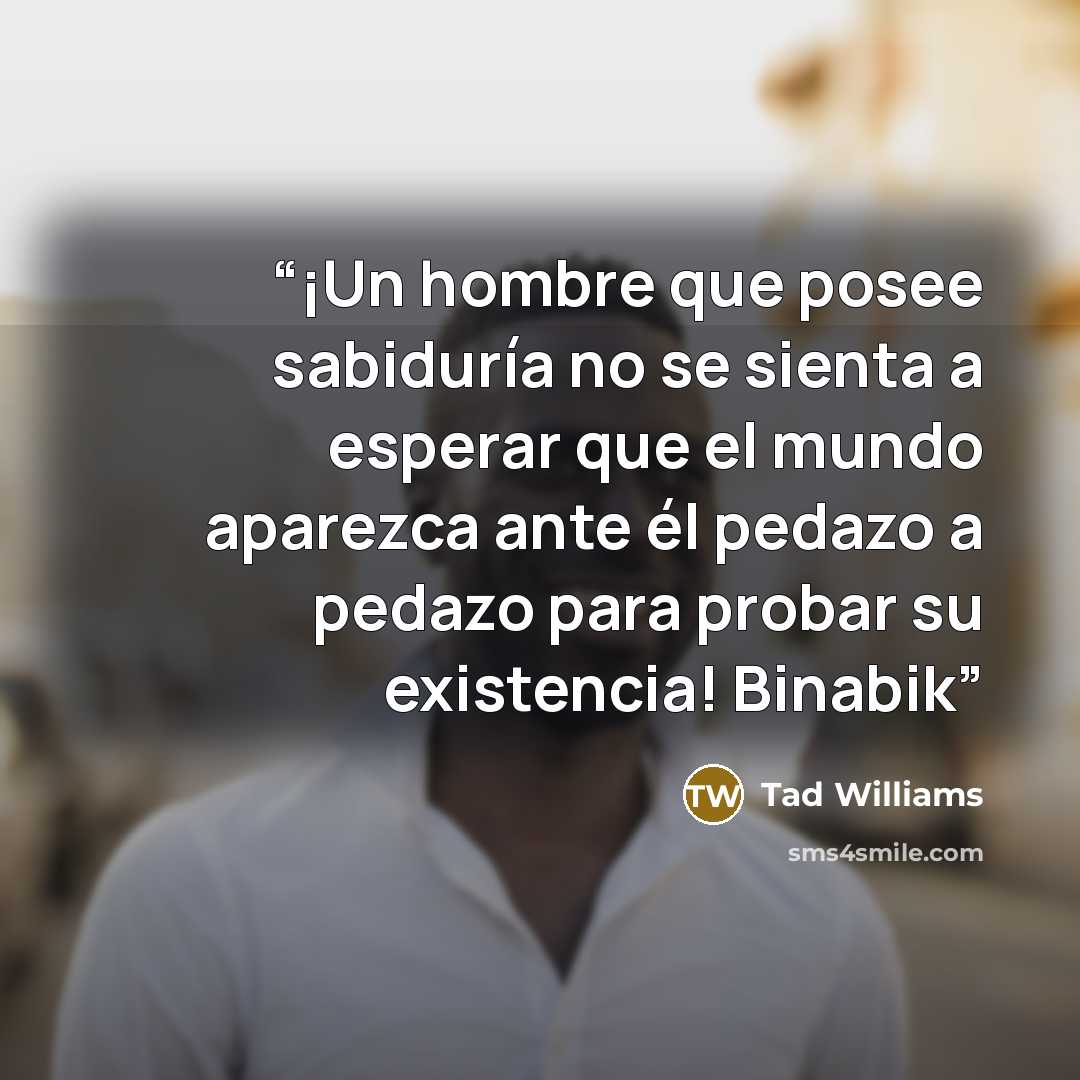 “¡Un hombre que posee sabiduría no se sienta a esperar que el mundo aparezca ante él pedazo a pedazo para probar su existencia! Binabik” quote by Tad Williams
