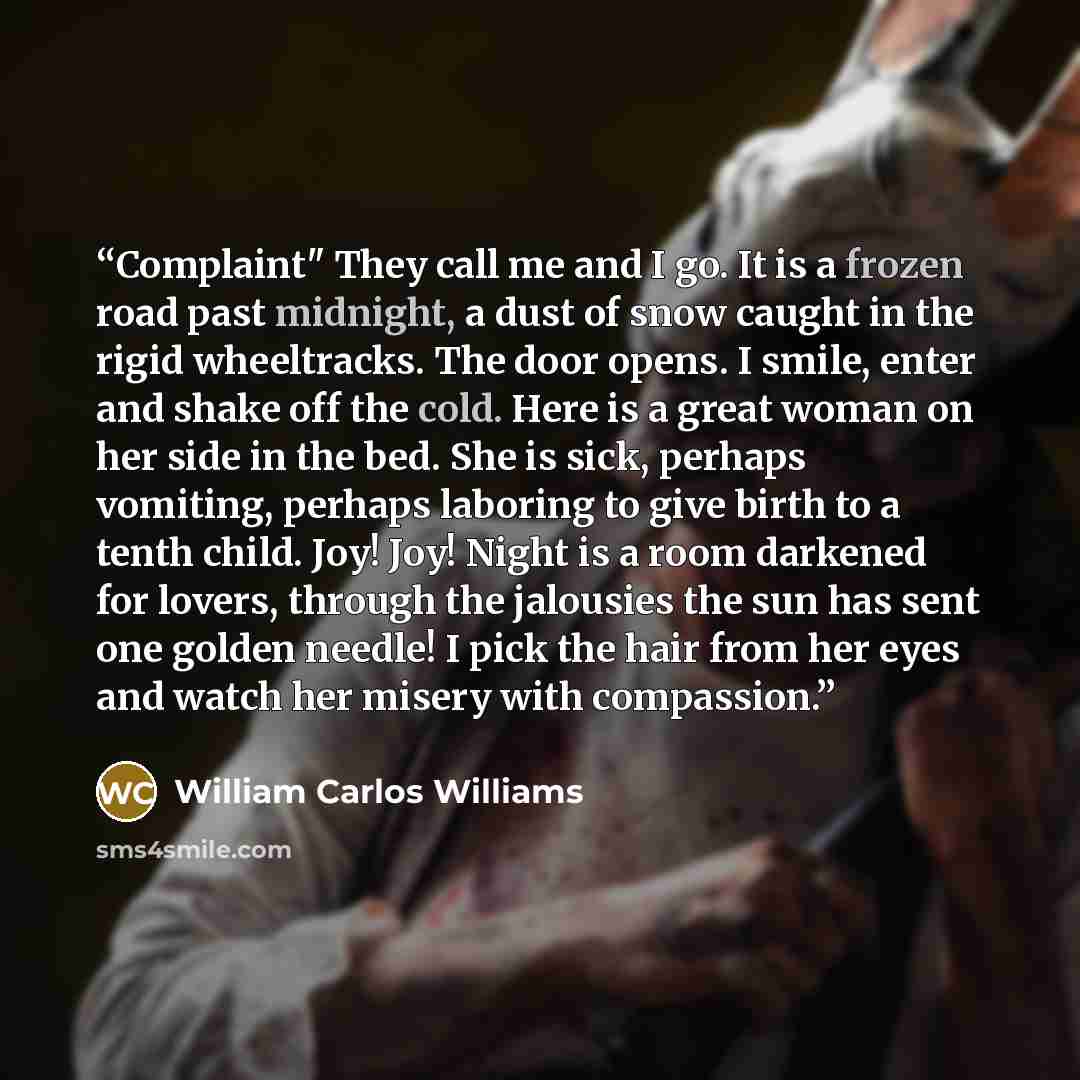 “Complaint" They call me and I go. It is a frozen road past midnight, a dust of snow caught in the rigid wheeltracks. The door opens. I smile, enter and shake off the cold. Here is a great woman on her side in the bed. She is sick, perhaps vomiting, perhaps laboring to give birth to a tenth child…” quote by William Carlos Williams
