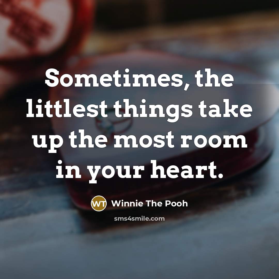 “Sometimes, the littlest things take up the most room in…” quote by Winnie The Pooh