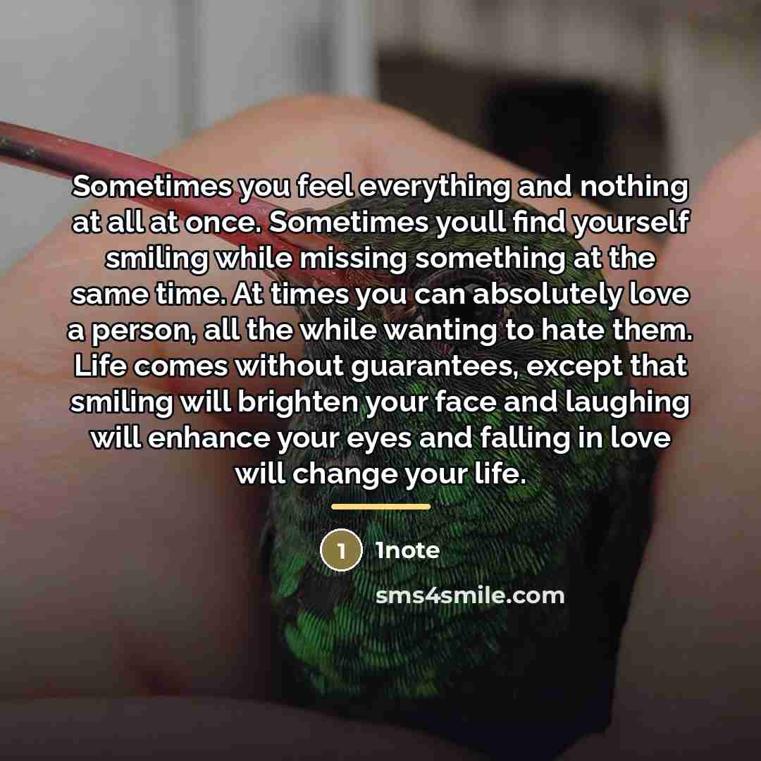 “Sometimes you feel everything and nothing at all at once.…” quote by 1note
