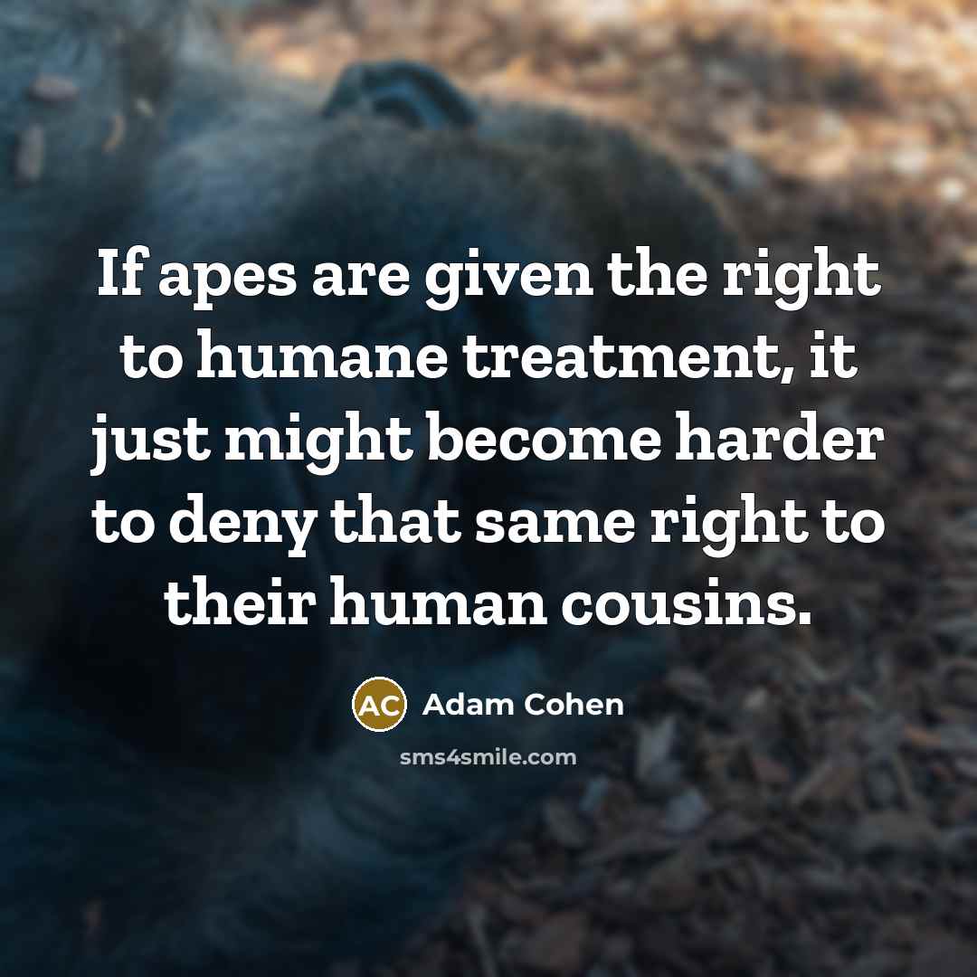 “If apes are given the right to humane treatment, it just might become harder to deny that same right to their human cousins.” quote by Adam Cohen