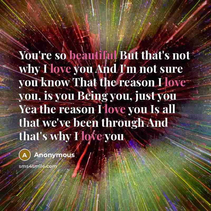 “You're so beautiful But that's not why I love you And I'm not sure you know That the reason I love you, is you Being you, just you Yea the reason I love you Is all that we've been through And that's why I love you” quote by Anonymous