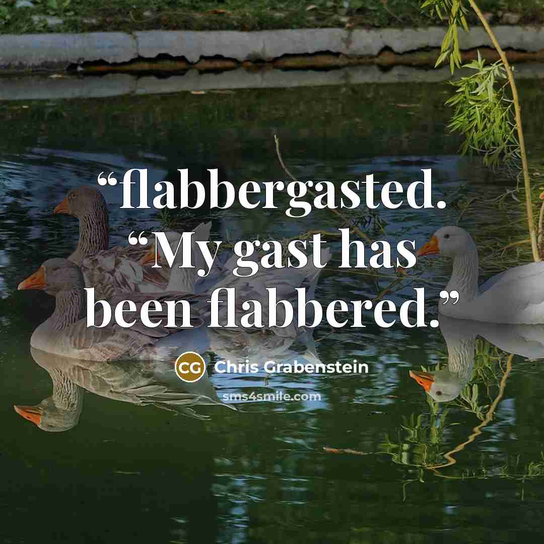 “flabbergasted. “My gast has been flabbered.” quote by Chris Grabenstein