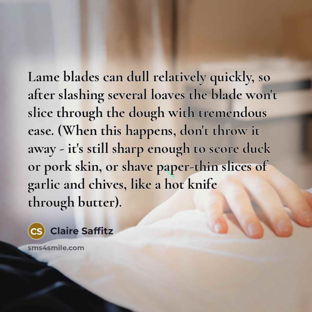“Lame blades can dull relatively quickly, so after slashing several…” quote by Claire Saffitz