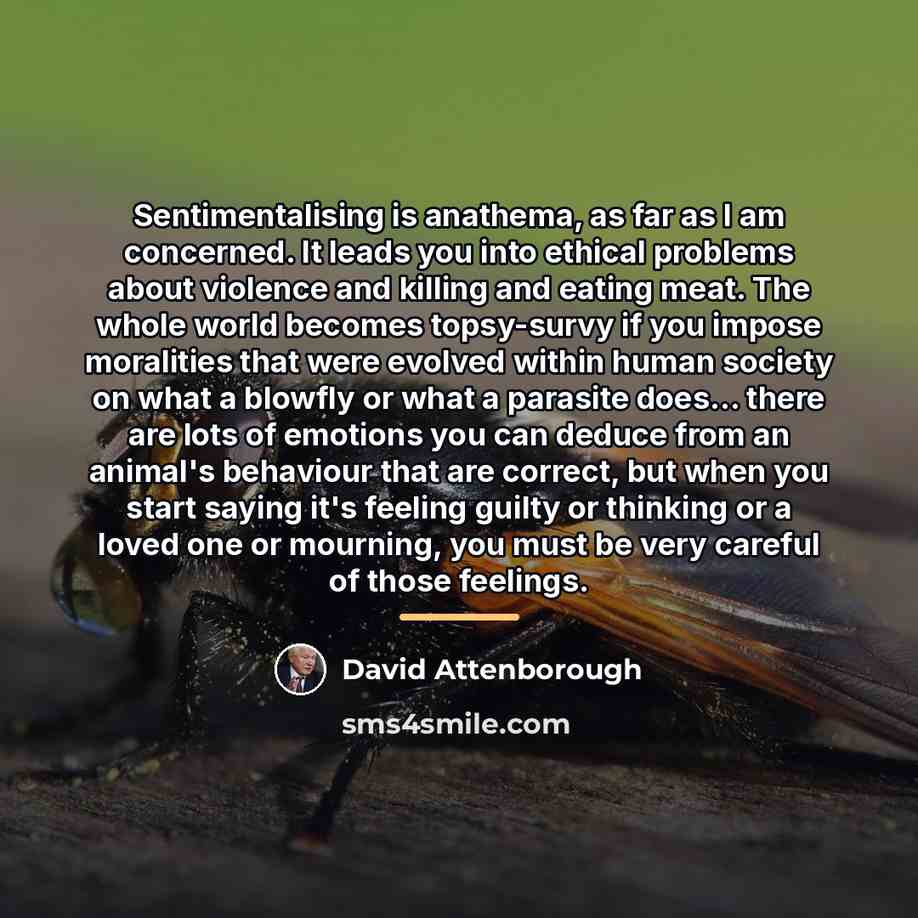 “Sentimentalising is anathema, as far as I am concerned. It…” quote by David Attenborough