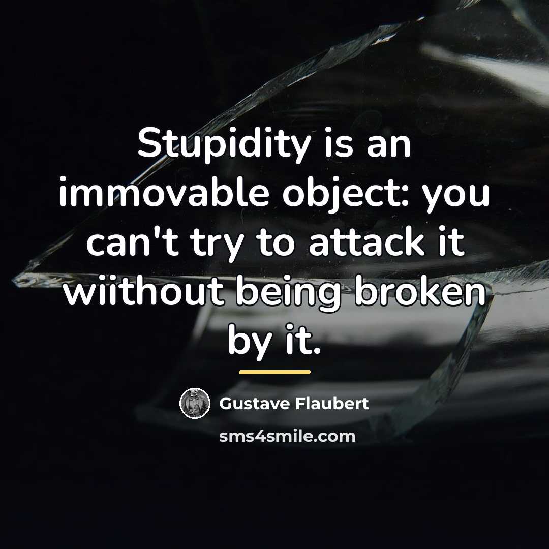 “Stupidity is an immovable object: you can't try to attack…” quote by Gustave Flaubert