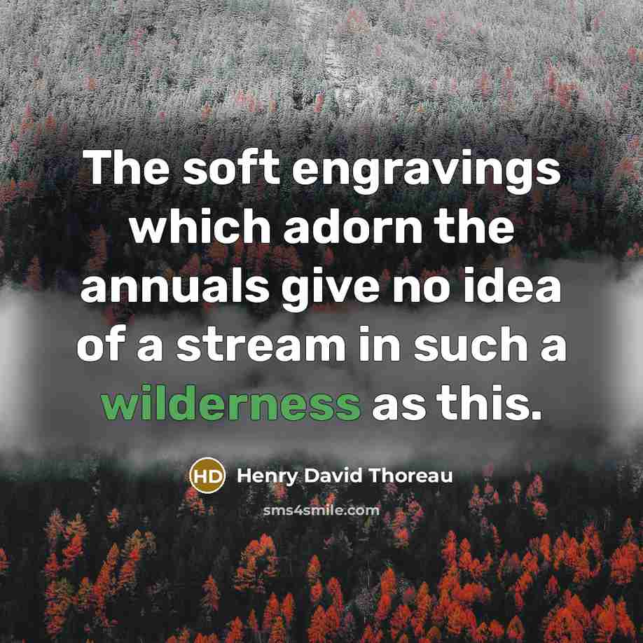 “The soft engravings which adorn the annuals give no idea of a stream in such a wilderness as this.” quote by Henry David Thoreau