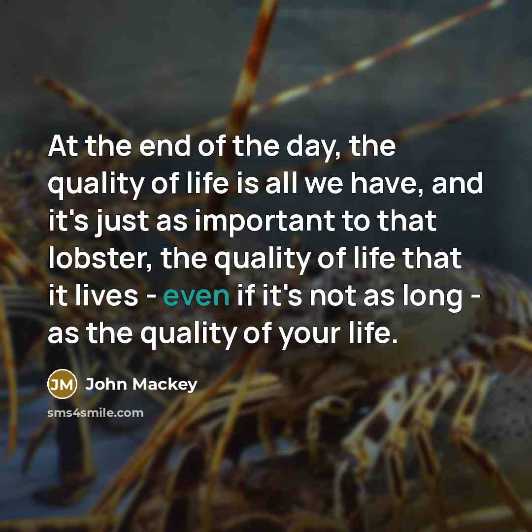 “At the end of the day, the quality of life…” quote by John Mackey