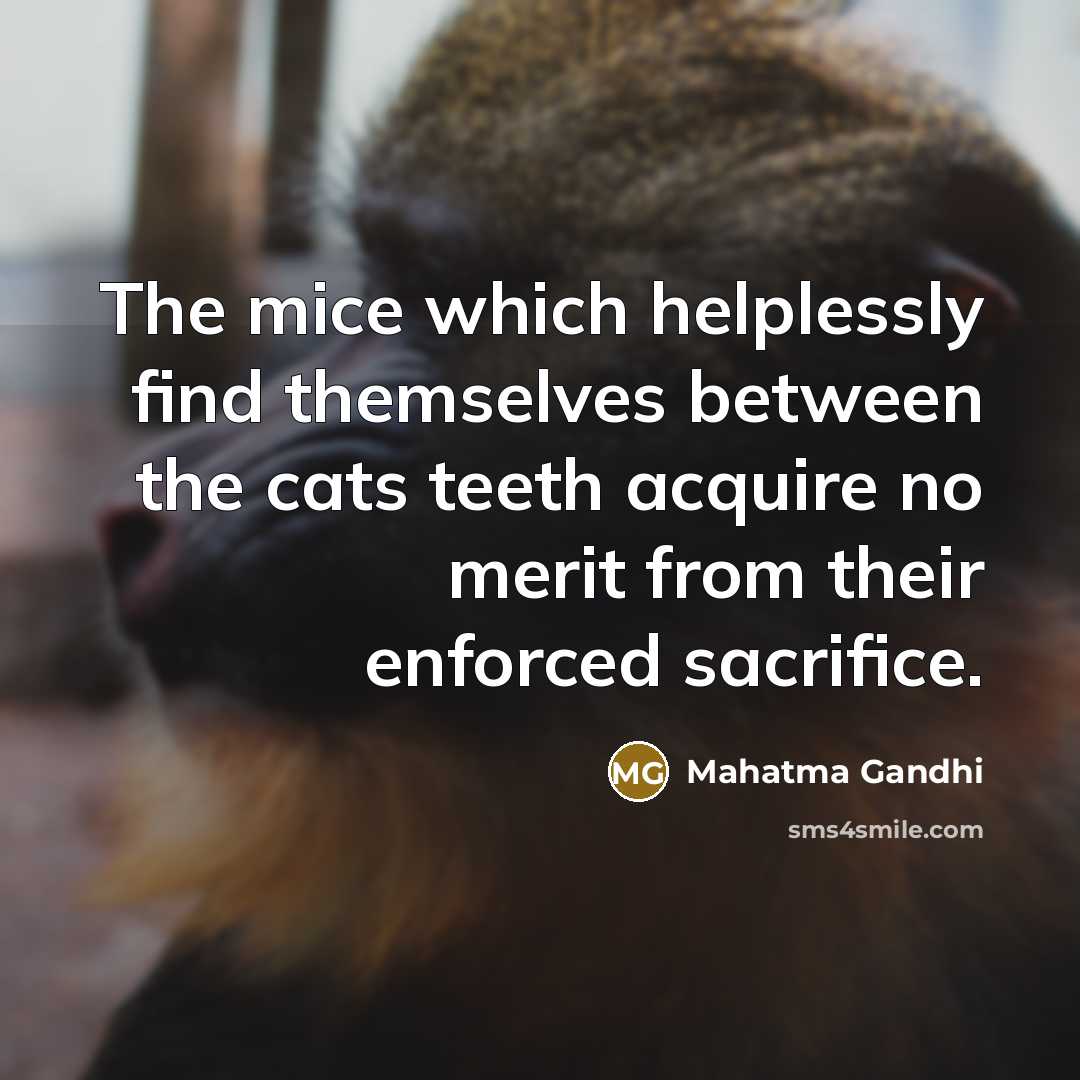 “The mice which helplessly find themselves between the cats teeth…” quote by Mahatma Gandhi