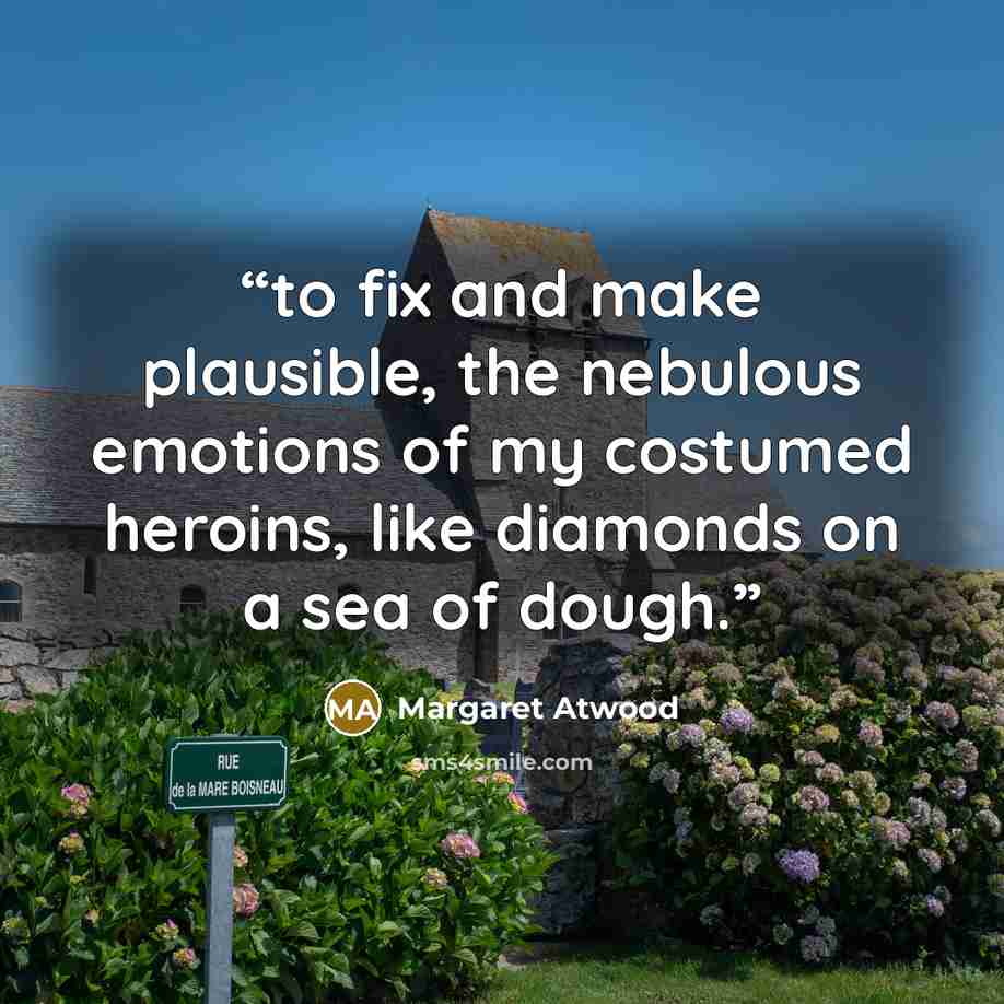 “to fix and make plausible, the nebulous emotions of my costumed heroins, like diamonds on a sea of dough.” quote by Margaret Atwood