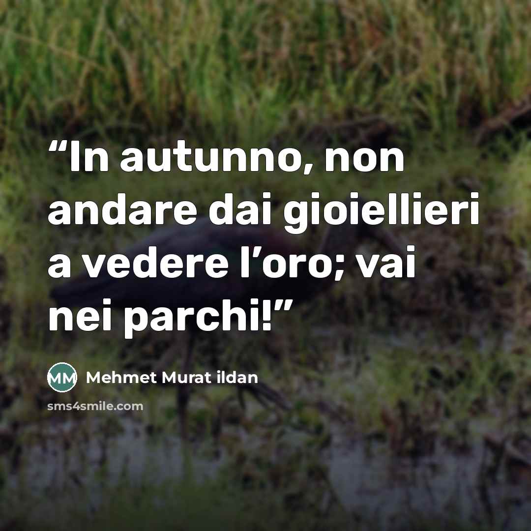 “In autunno, non andare dai gioiellieri a vedere l’oro; vai nei parchi!” quote by Mehmet Murat ildan