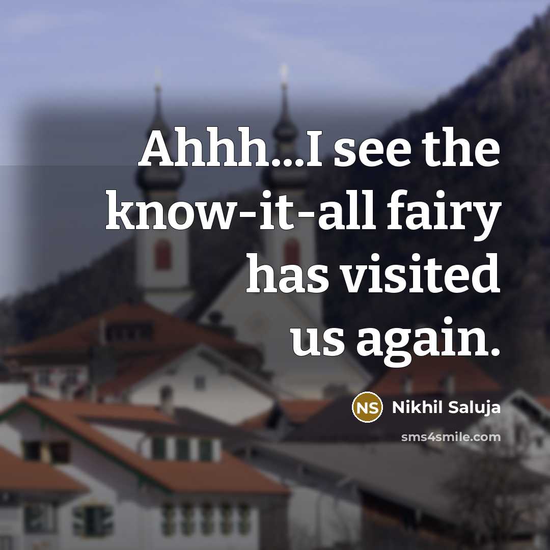 “Ahhh...I see the know-it-all fairy has visited us again.…” quote by Nikhil Saluja