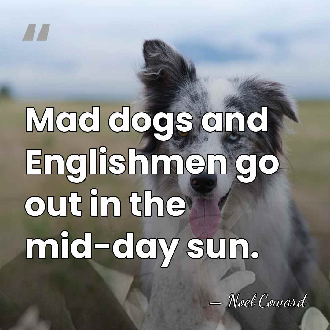 Mad dogs and Englishmen go out in the mid-day sun. - Noel Coward