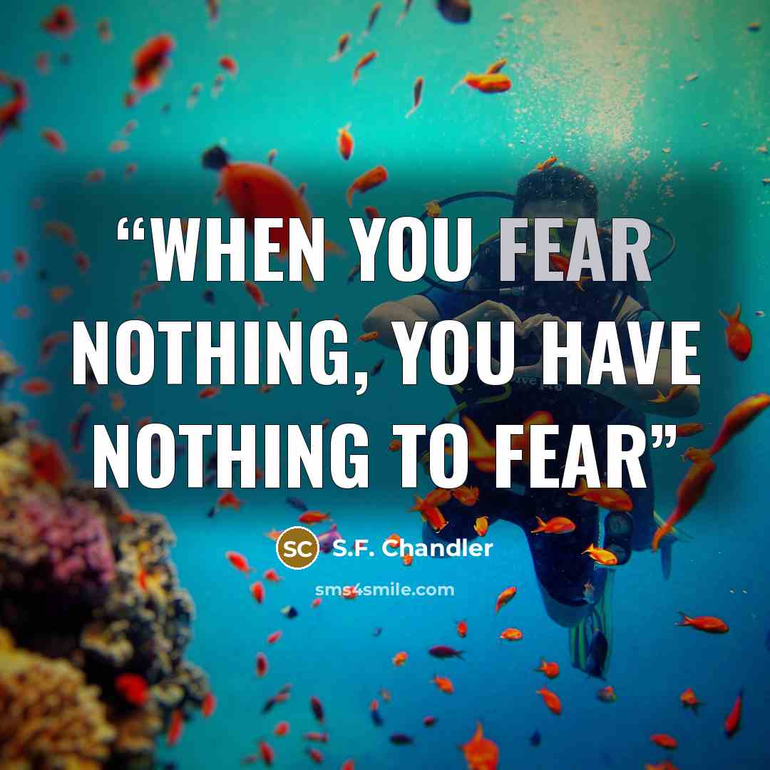 “When you fear nothing, you have nothing to fear” quote by S.F. Chandler