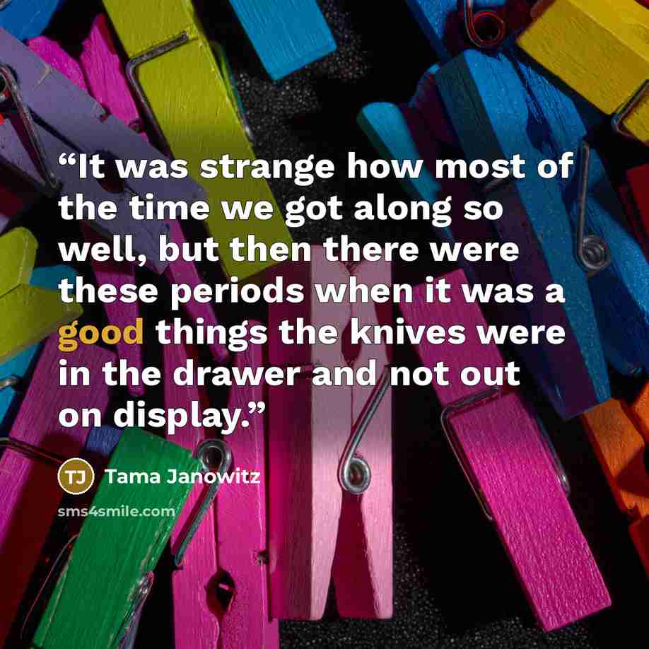 “It was strange how most of the time we got along so well, but then there were these periods when it was a good things the knives were in the drawer and not out on display.” quote by Tama Janowitz