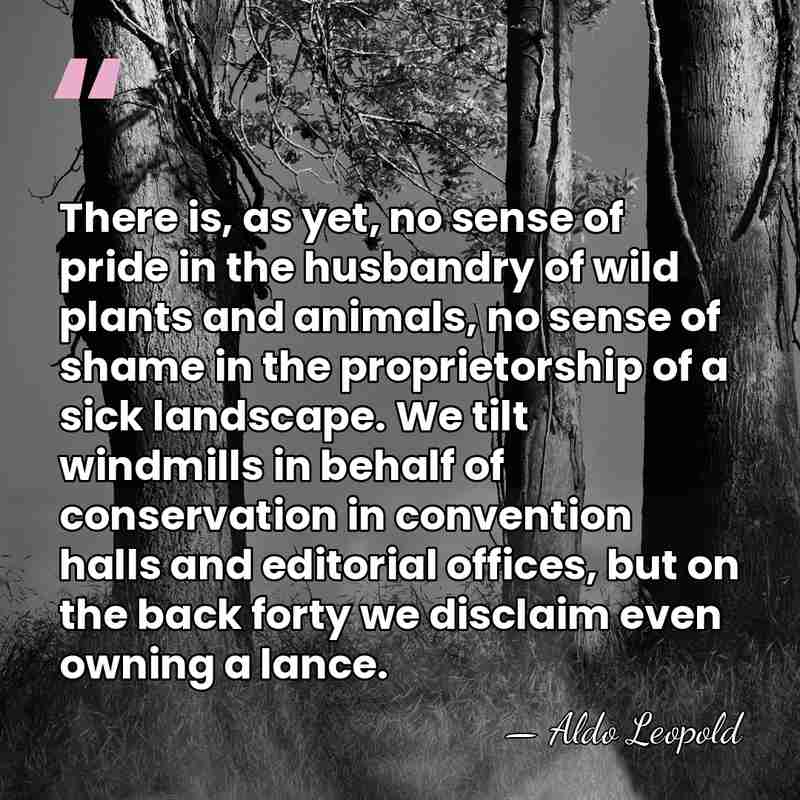 There is, as yet, no sense of pride in the husbandry of&hellip; - Aldo Leopold