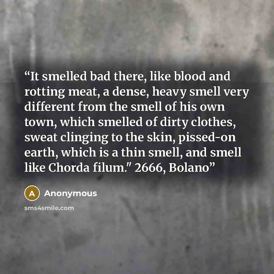 “It smelled bad there, like blood and rotting meat, a dense, heavy smell very different from the smell of his own town, which smelled of dirty clothes, sweat clinging to the skin, pissed-on earth, which is a thin smell, and smell like Chorda filum." 2666, Bolano” quote by Anonymous
