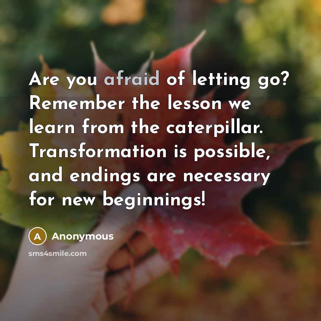 “Are you afraid of letting go? Remember the lesson we learn from the caterpillar. Transformation is possible, and endings are necessary for new beginnings!” quote by Anonymous