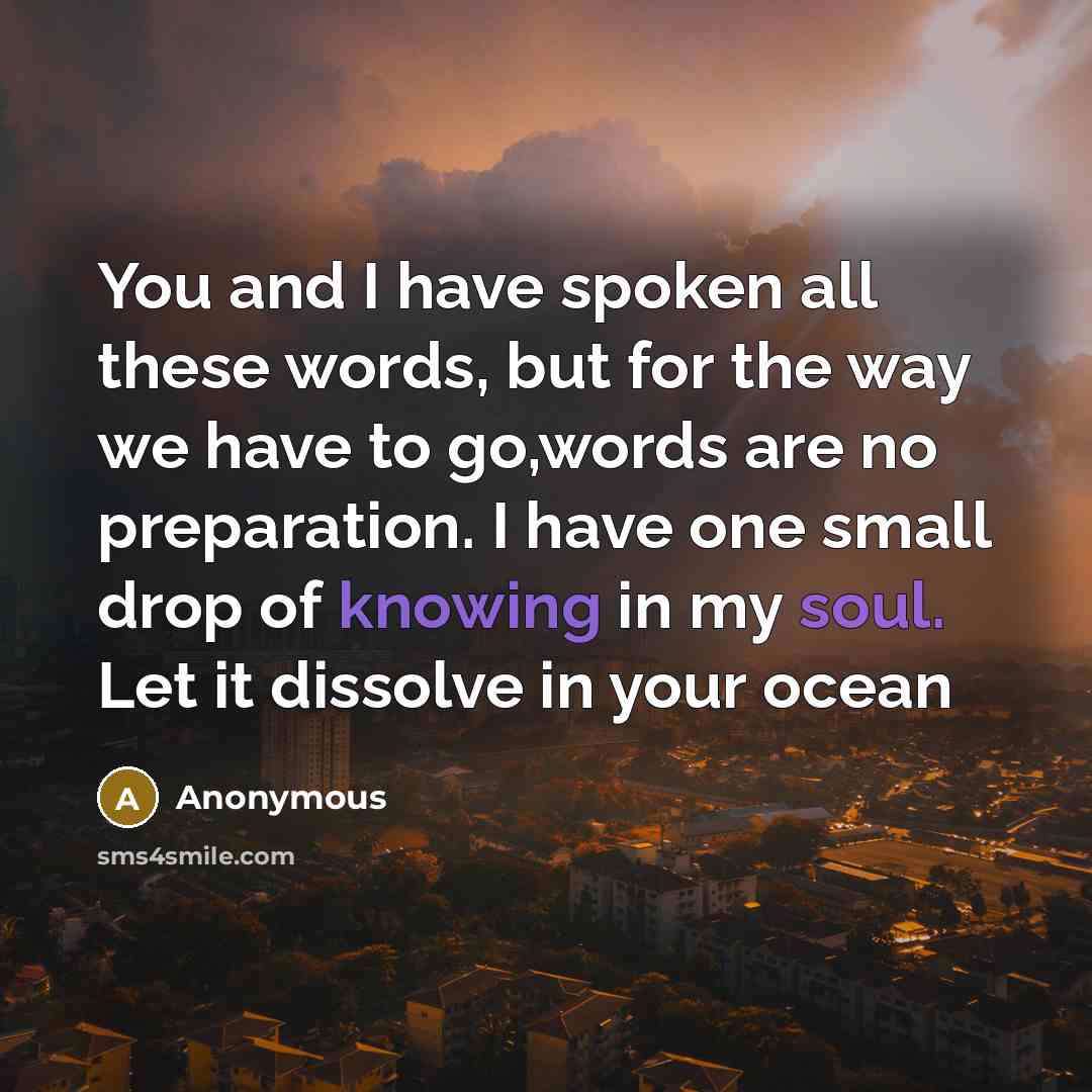 “You and I have spoken all these words, but for the way we have to go,words are no preparation. I have one small drop of knowing in my soul. Let it dissolve in your ocean” quote by Anonymous