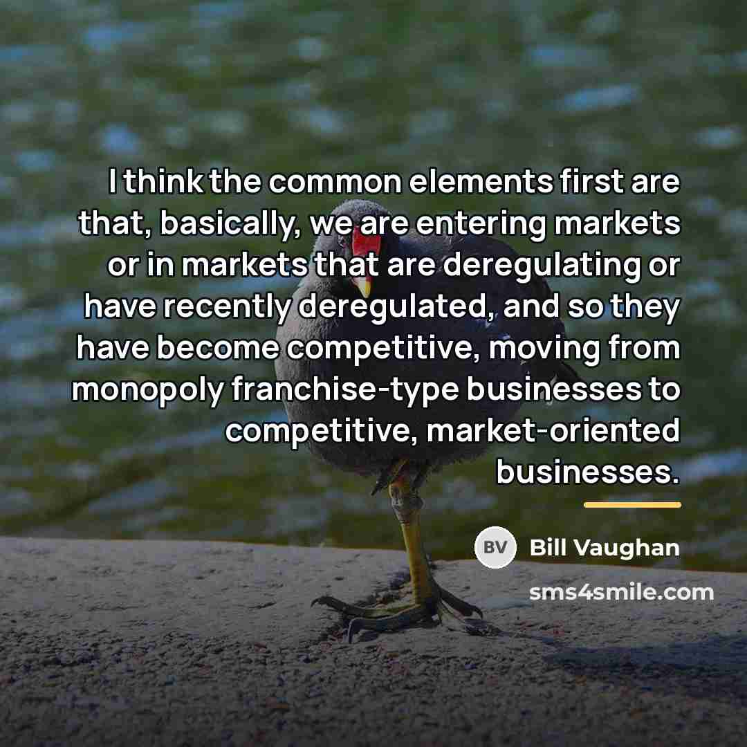“I think the common elements first are that, basically, we…” quote by Bill Vaughan