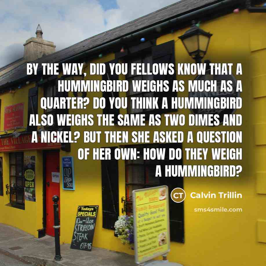 “By the way, did you fellows know that a hummingbird…” quote by Calvin Trillin
