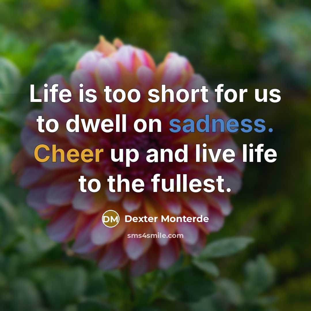 “Life is too short for us to dwell on sadness.…” quote by Dexter Monterde