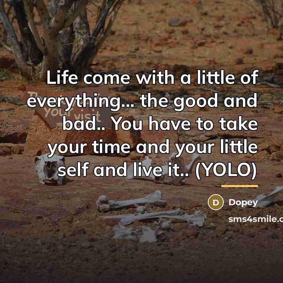 “Life come with a little of everything... the good and…” quote by Dopey