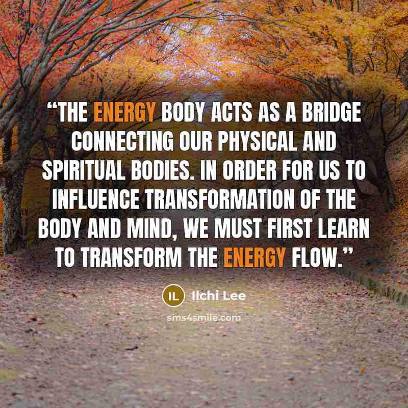 “The energy body acts as a bridge connecting our physical and spiritual bodies. In order for us to influence transformation of the body and mind, we must first learn to transform the energy flow.” quote by Ilchi Lee