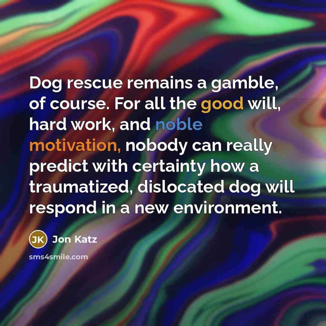 “Dog rescue remains a gamble, of course. For all the…” quote by Jon Katz