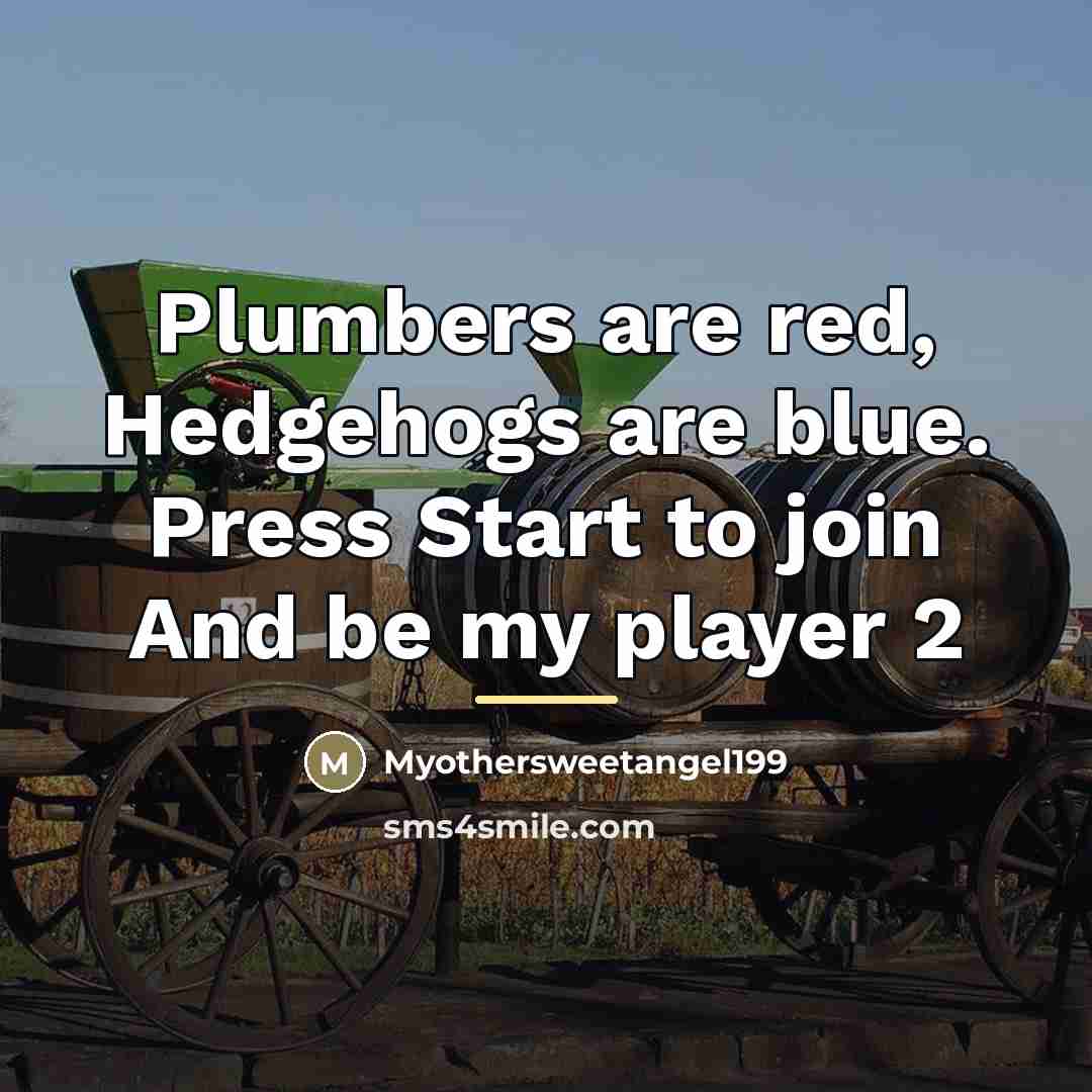 “Plumbers are red, Hedgehogs are blue. Press Start to join…” quote by Myothersweetangel199