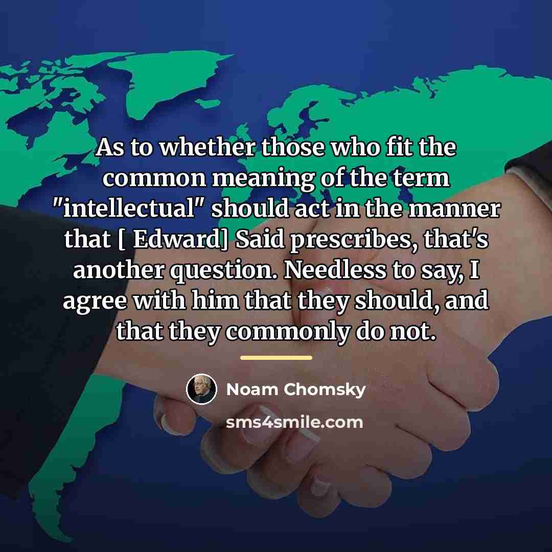 “As to whether those who fit the common meaning of…” quote by Noam Chomsky