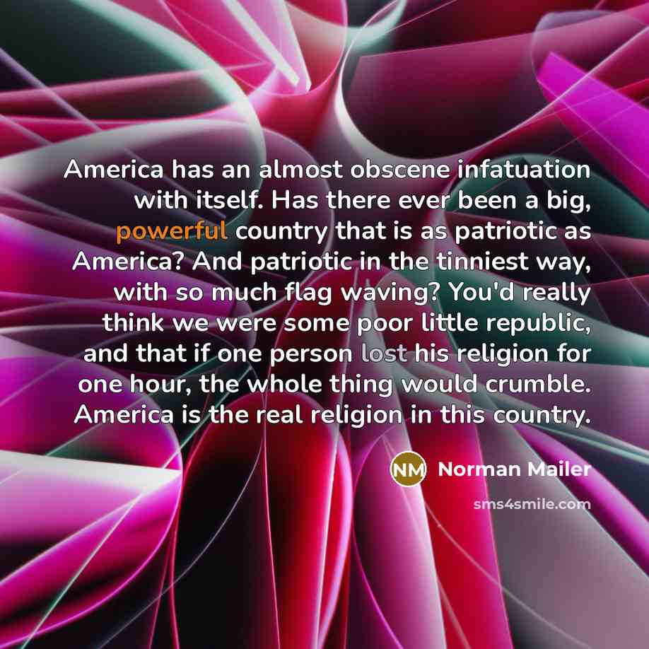 “America has an almost obscene infatuation with itself. Has there…” quote by Norman Mailer