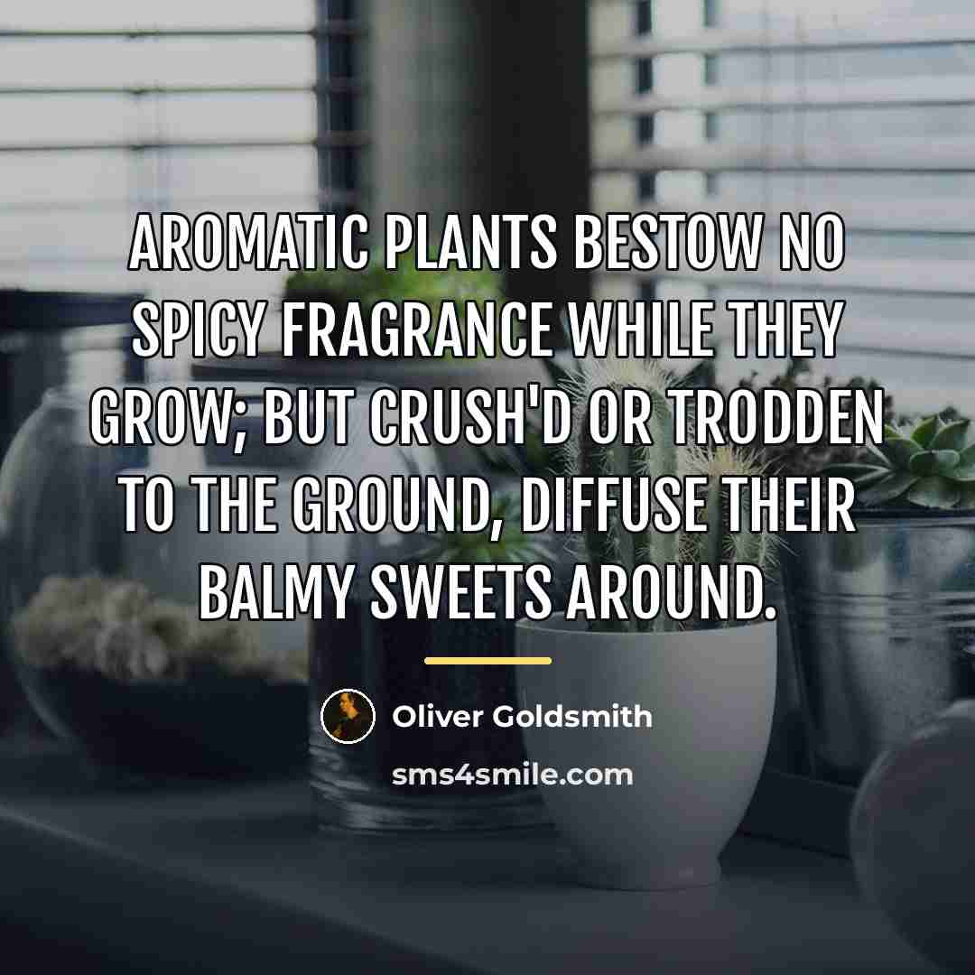 “Aromatic plants bestow no spicy fragrance while they grow; but…” quote by Oliver Goldsmith