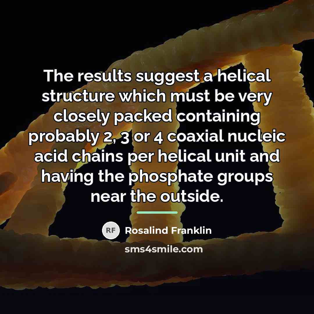 “The results suggest a helical structure which must be very…” quote by Rosalind Franklin