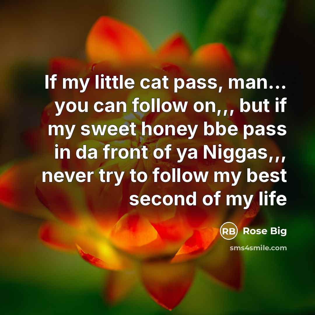 “If my little cat pass, man... you can follow on,,,…” quote by Rose Big