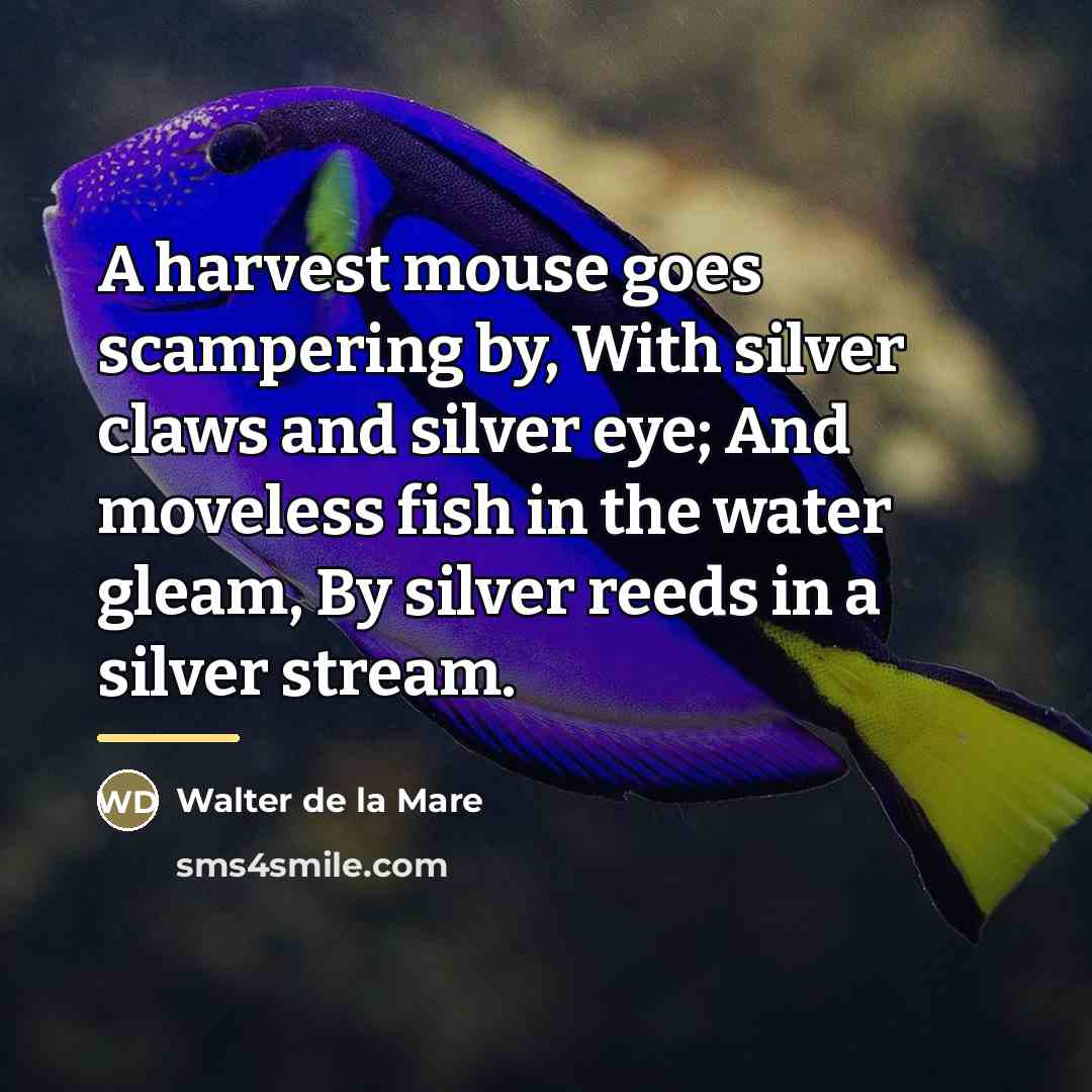 “A harvest mouse goes scampering by, With silver claws and…” quote by Walter de La Mare