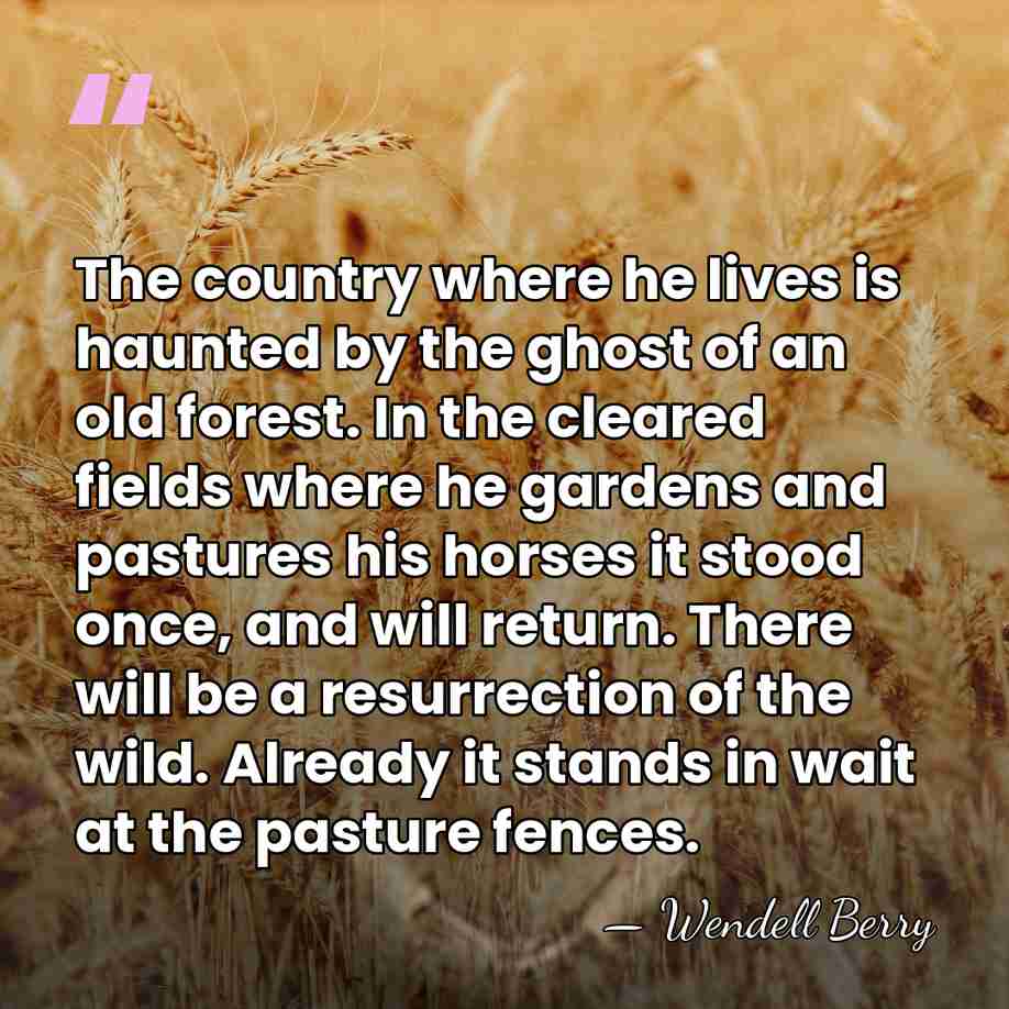 The country where he lives is haunted by the ghost of an&hellip; - Wendell Berry