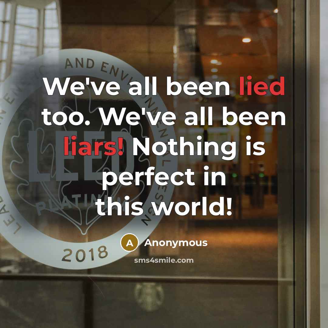“We've all been lied too. We've all been liars! Nothing is perfect in this world!” quote by Anonymous