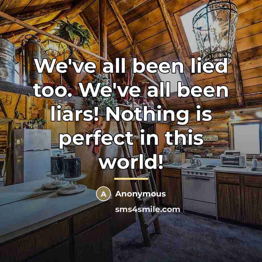 “We've all been lied too. We've all been liars! Nothing…” quote by Anonymous