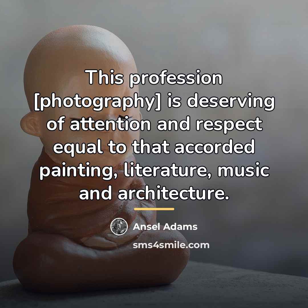 “This profession [photography] is deserving of attention and respect equal…” quote by Ansel Adams