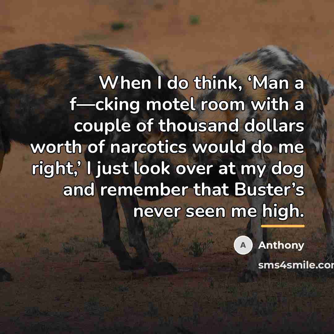 “When I do think, ‘Man a f—cking motel room with…” quote by Anthony