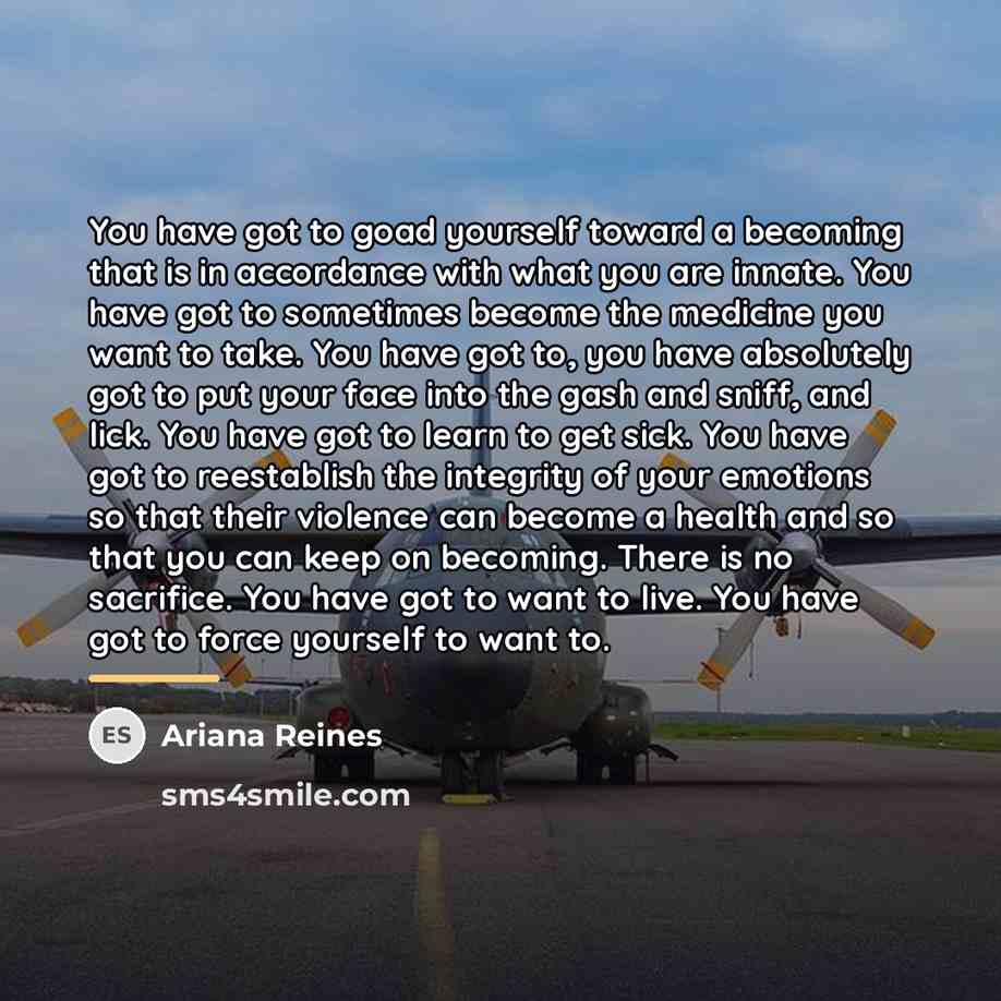 “You have got to goad yourself toward a becoming that…” quote by Ariana Reines