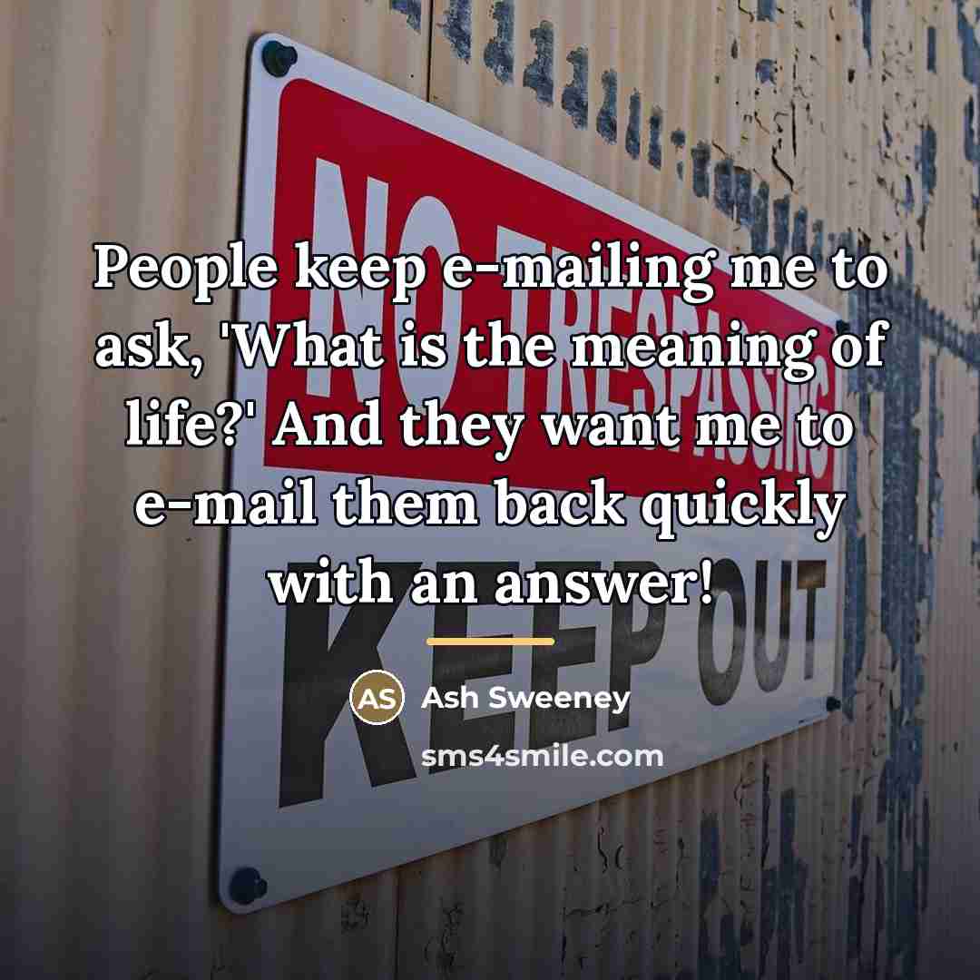 “People keep e-mailing me to ask, 'What is the meaning…” quote by Ash Sweeney