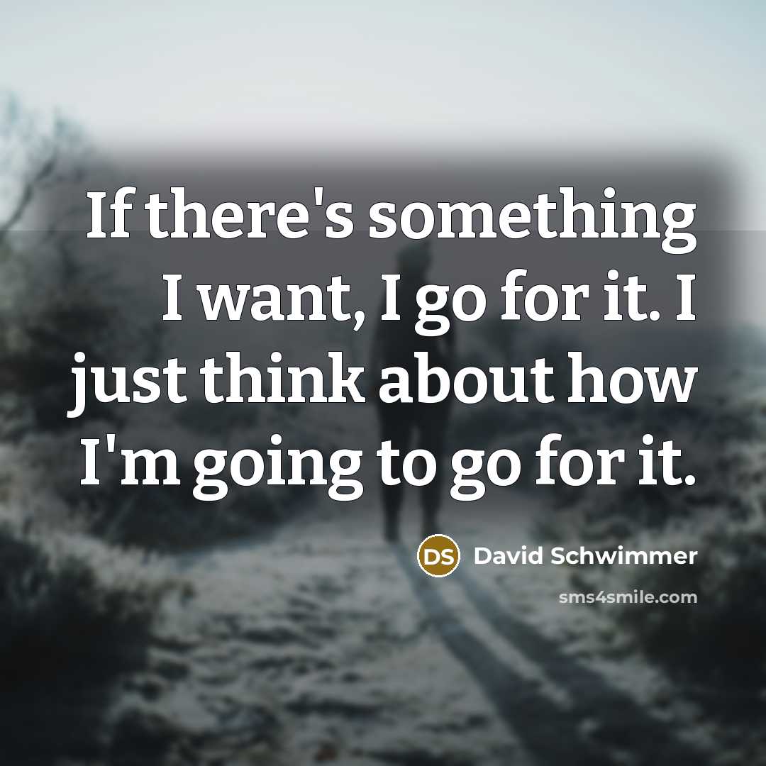 “If there's something I want, I go for it. I…” quote by David Schwimmer