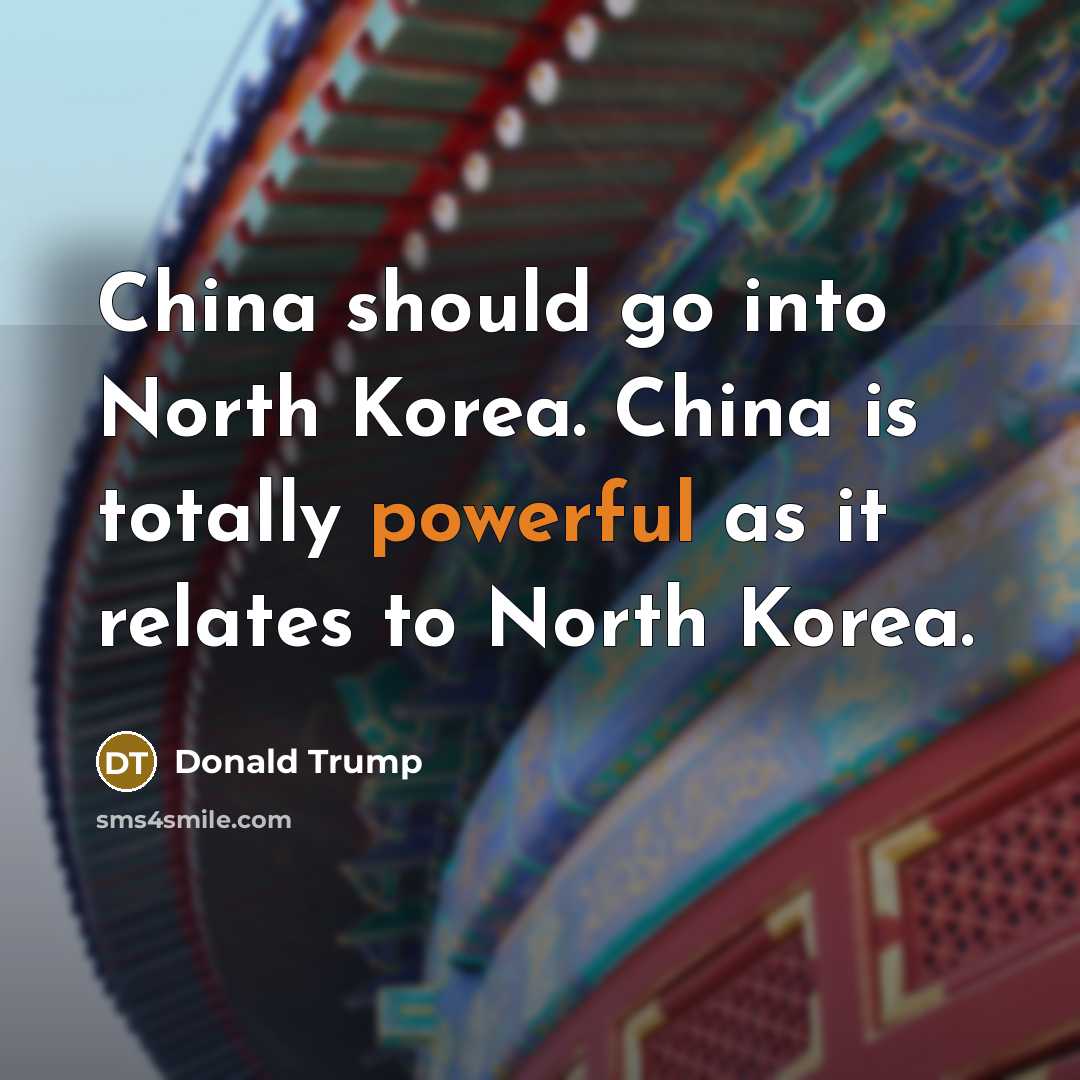 “China should go into North Korea. China is totally powerful…” quote by Donald Trump