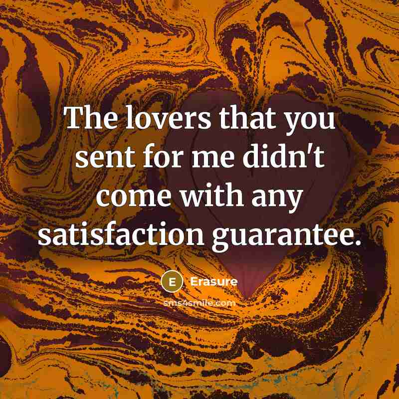 “The lovers that you sent for me didn't come with…” quote by Erasure