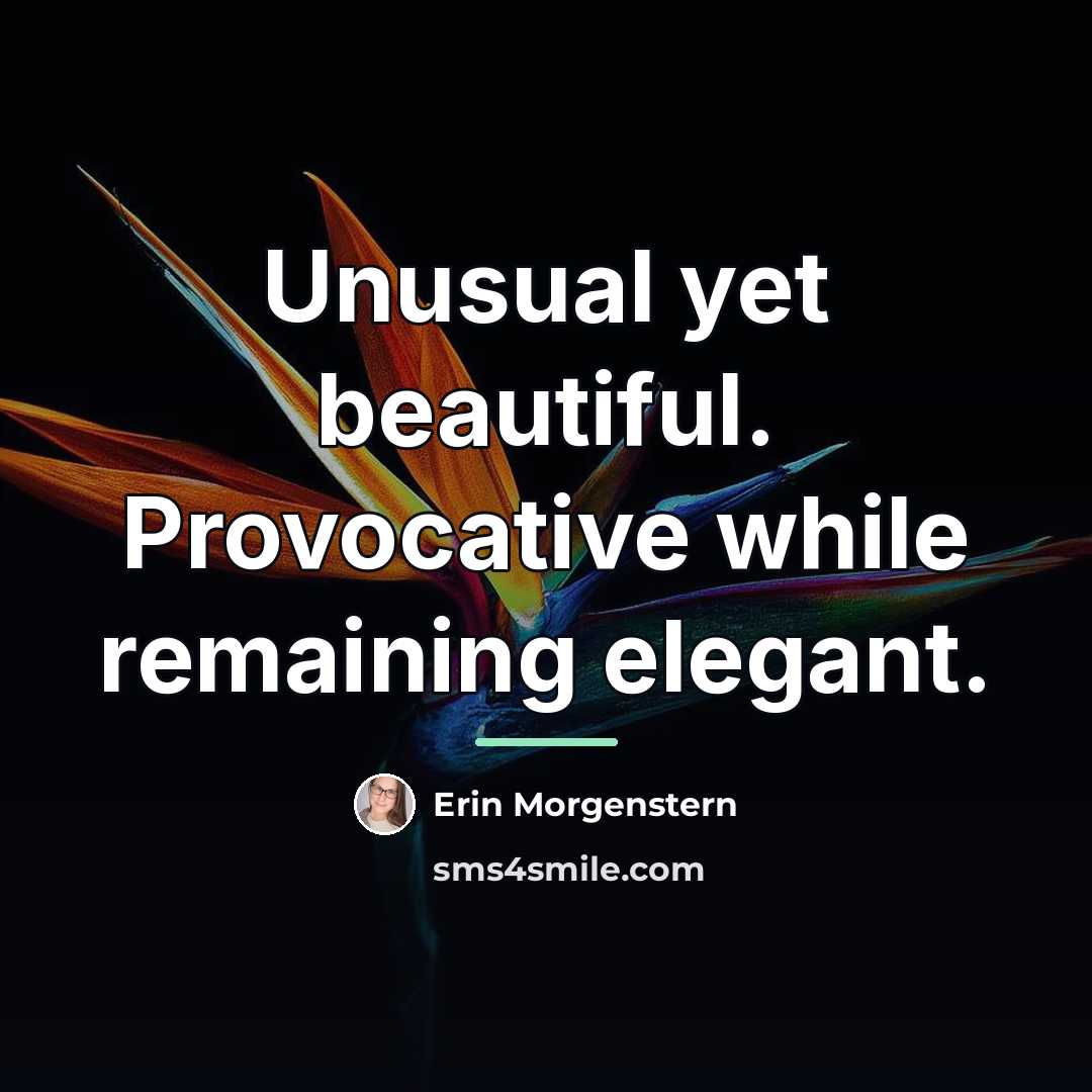 “Unusual yet beautiful. Provocative while remaining elegant.…” quote by Erin Morgenstern