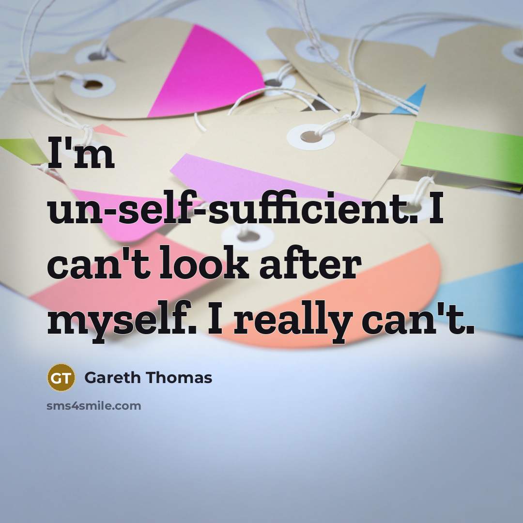 “I'm un-self-sufficient. I can't look after myself. I really can't.…” quote by Gareth Thomas